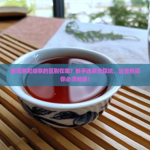 普洱茶和绿茶的区别在哪