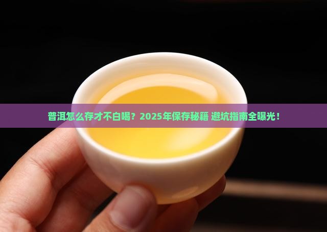 普洱的保存环境