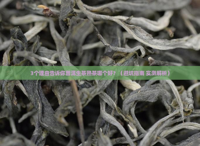 普洱生茶熟茶哪个好