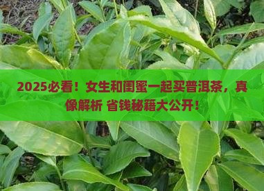 两个人买普洱茶合适吗女生