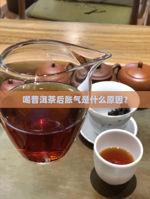 刚喝普洱茶胃胀气