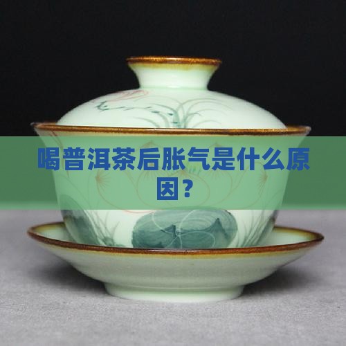 刚喝普洱茶胃胀气