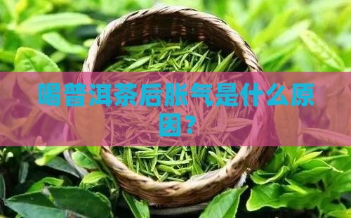 刚喝普洱茶胃胀气