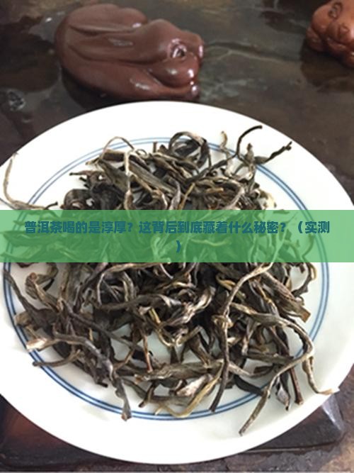 普洱茶喝的是淳厚