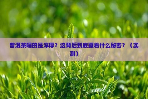 普洱茶喝的是淳厚
