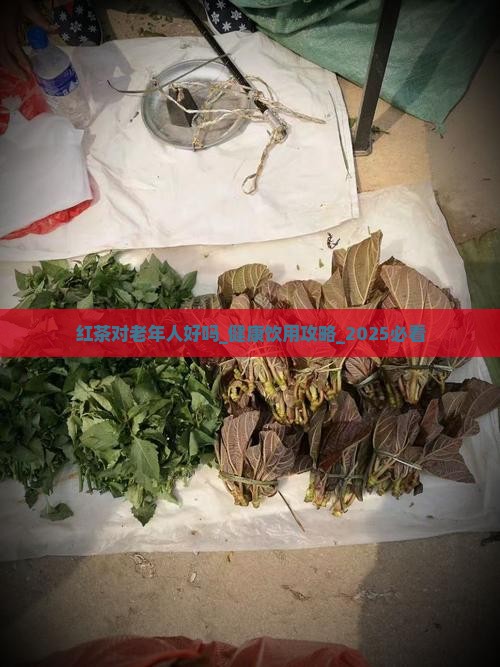 红茶对老年人好吗