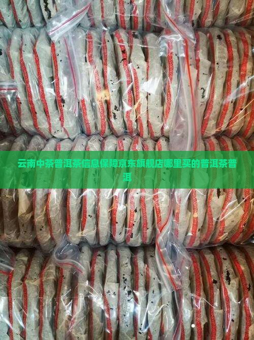 中茶普洱茶在哪里买的