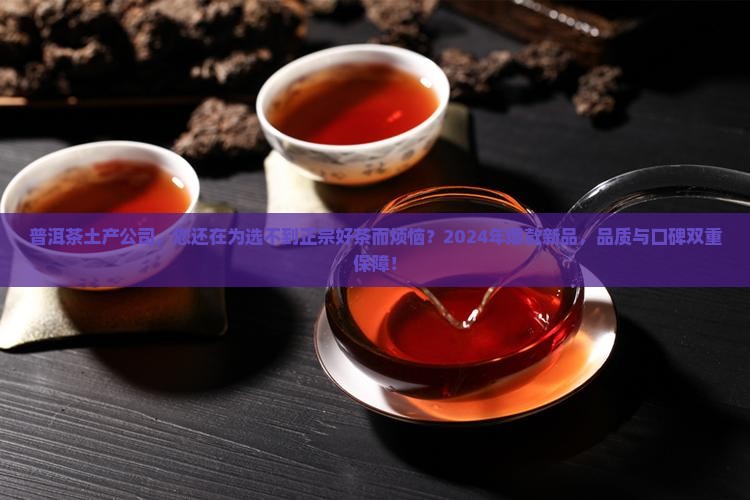 普洱茶土产公司