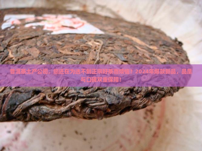 普洱茶土产公司