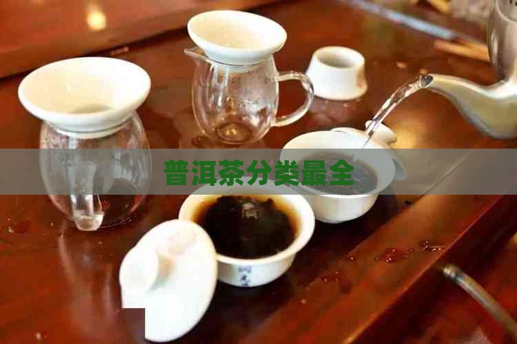 普洱茶分类最全