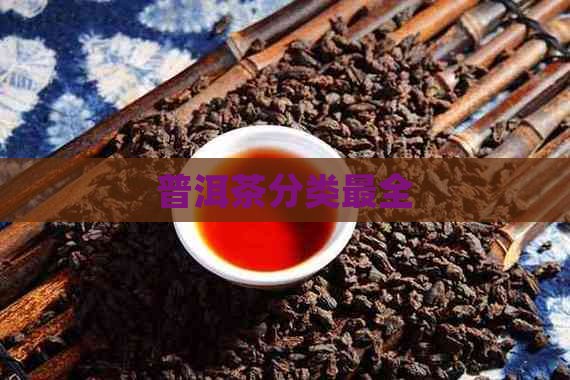 普洱茶分类最全