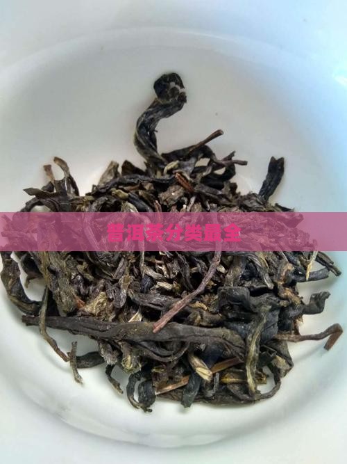 普洱茶分类最全