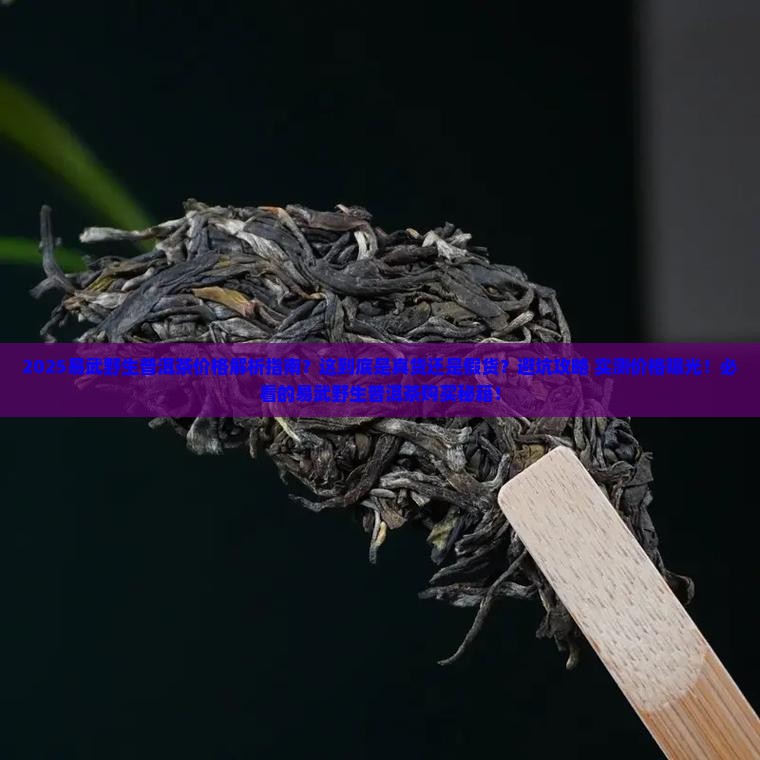 04年易武野生普洱茶价格