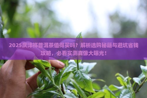 庆沣祥普洱茶可以买嘛