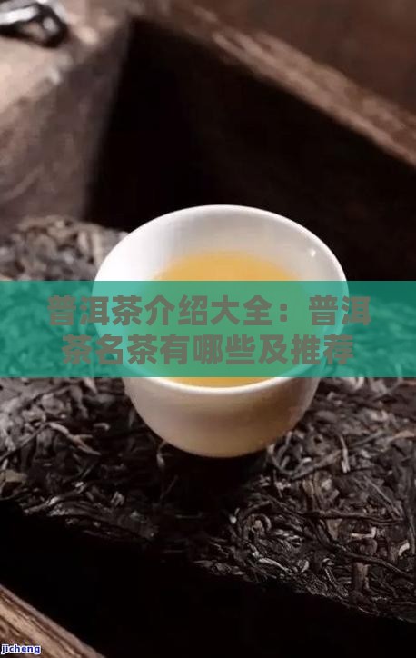 普洱茶介绍大全普洱茶名茶有哪些