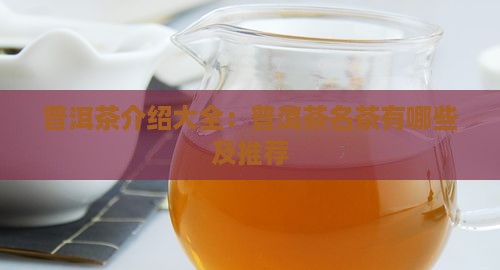 普洱茶介绍大全普洱茶名茶有哪些