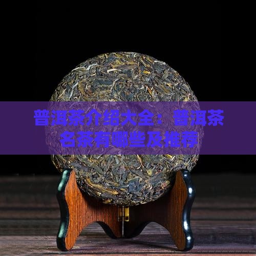 普洱茶介绍大全普洱茶名茶有哪些
