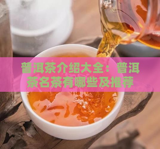 普洱茶介绍大全普洱茶名茶有哪些