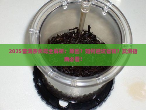 普洱茶为什么长霉