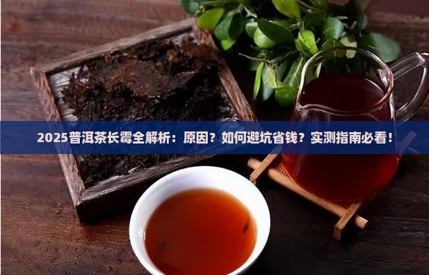 普洱茶为什么长霉