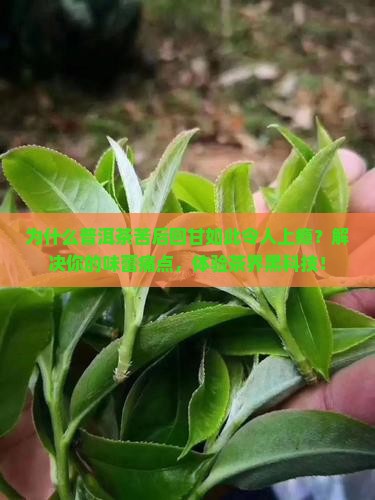 描述普洱茶苦后回甘