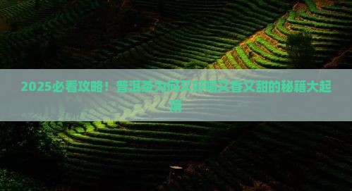 普洱茶又好喝又香又甜的原因