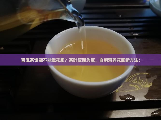 普洱茶饼能不能做花肥