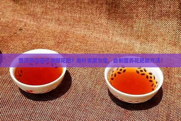 普洱茶饼能不能做花肥