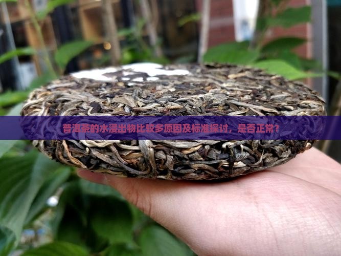 普洱茶的水浸出物比较