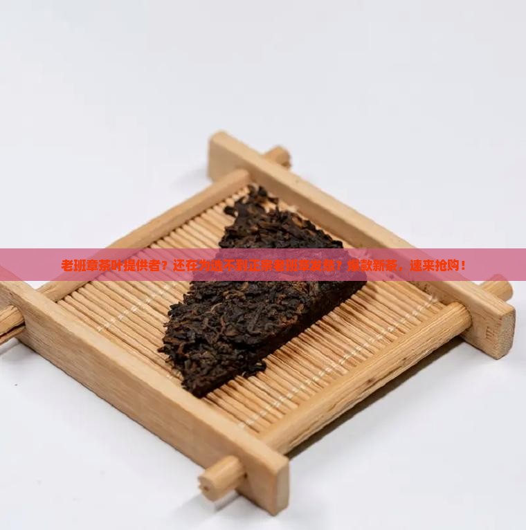 老班章茶叶提供者