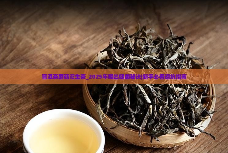 普洱茶蘑菇沱生茶