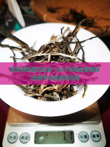 普洱茶蘑菇沱生茶