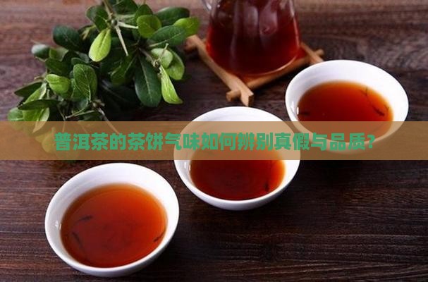 普洱茶的茶饼气味