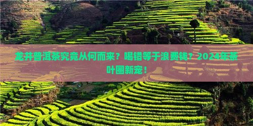 龙井普洱茶的来源