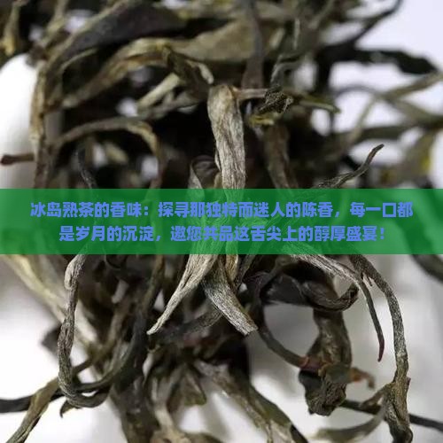 冰岛熟茶的香味
