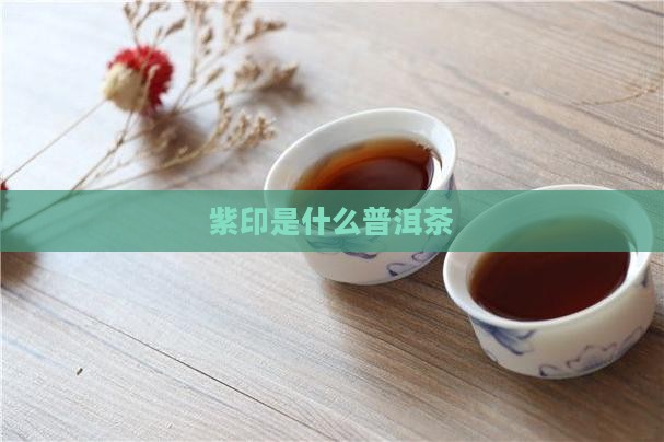 紫印是什么普洱茶