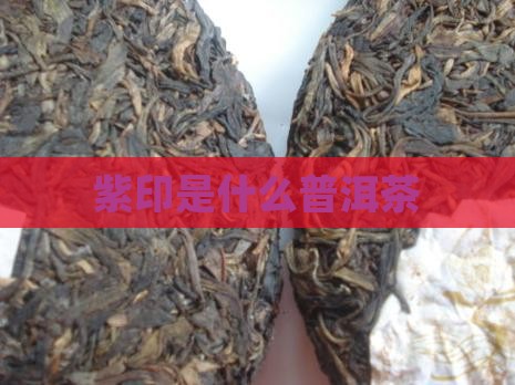 紫印是什么普洱茶