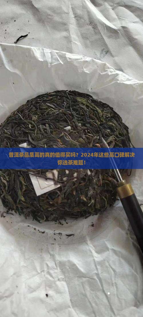 普洱茶品质高的品牌排行
