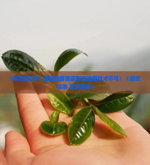 盖碗泡普洱茶要几年的