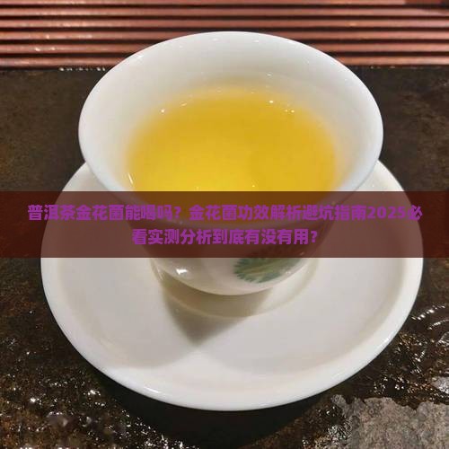 普洱茶金花菌能喝吗百度百科