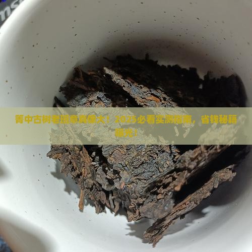 箐中古树老班章怎么样
