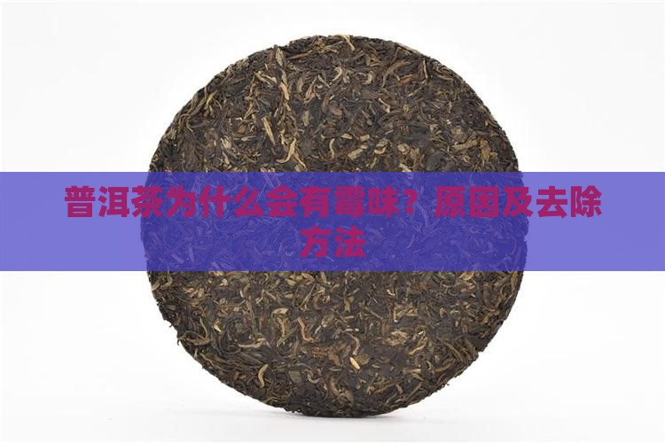 普洱茶为什么要去霉味