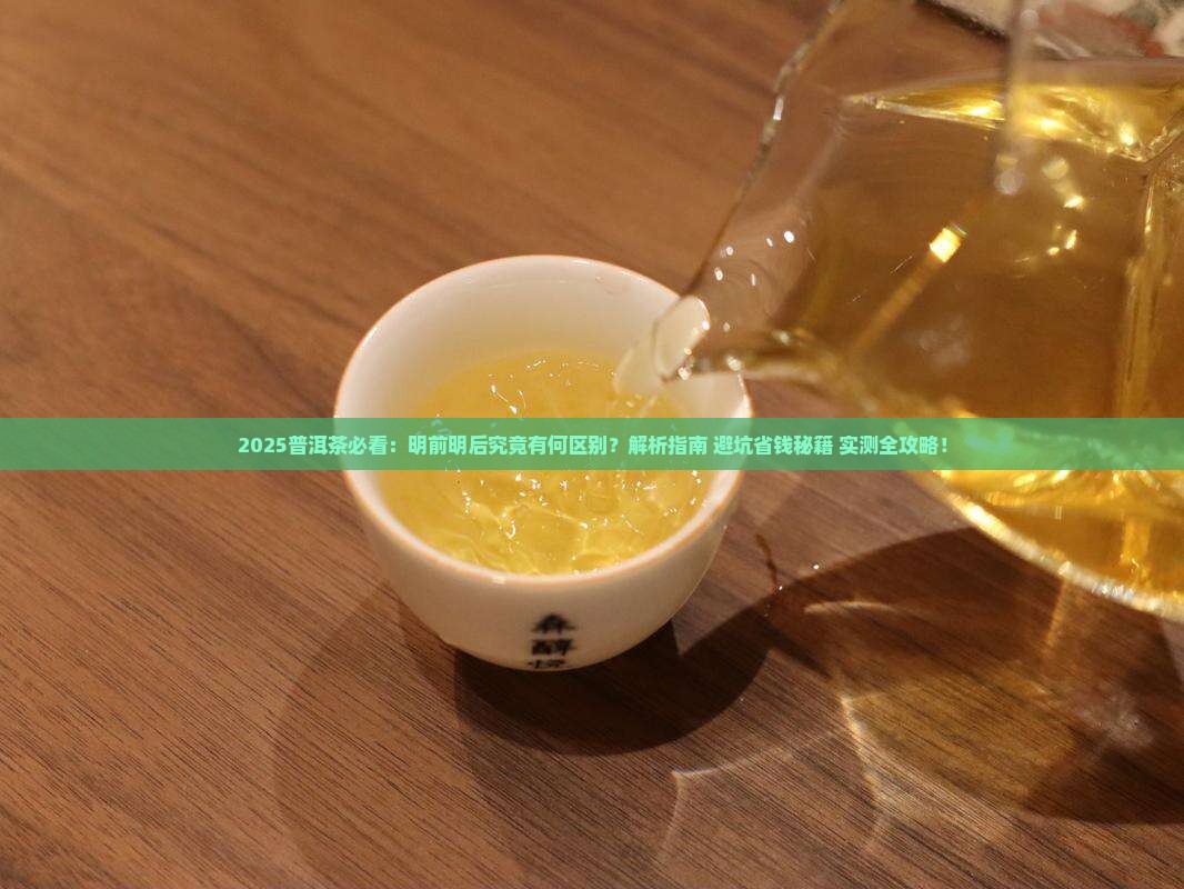 普洱茶分明前明后吗