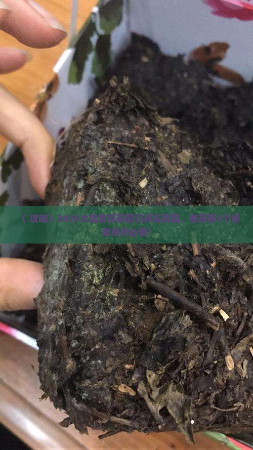 普洱茶回归大陆真实原因