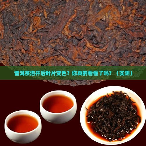 普洱茶泡后如何看叶片是否变色