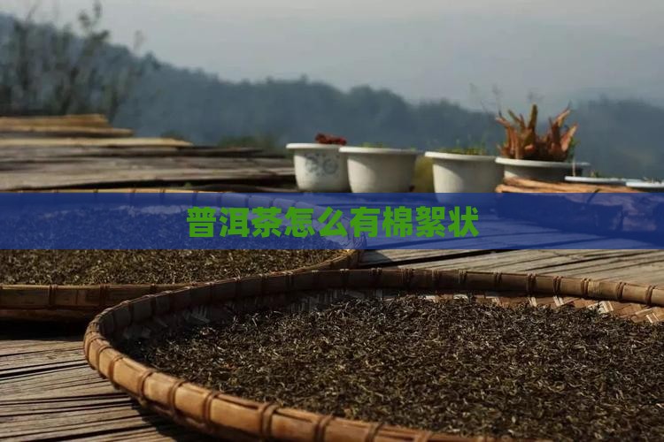 普洱茶怎么有棉絮状