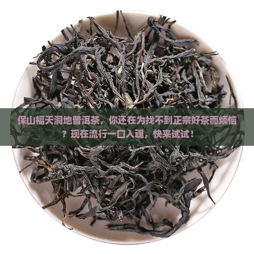 保山福天洞地普洱茶