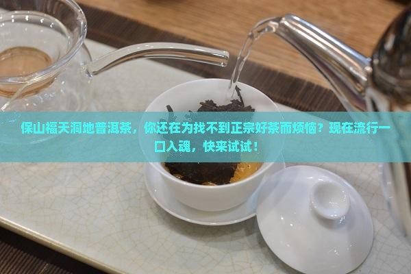 保山福天洞地普洱茶