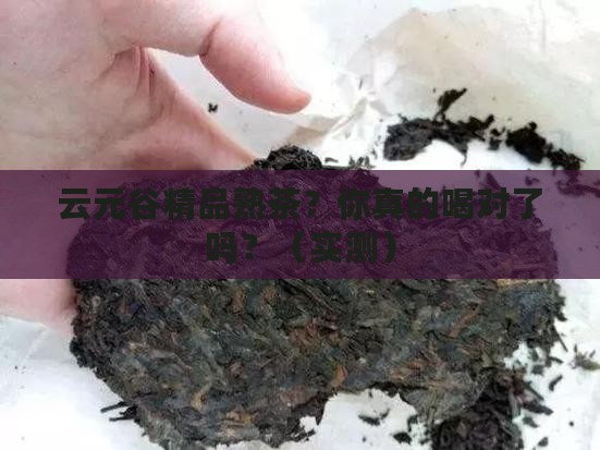 云元谷精品熟茶