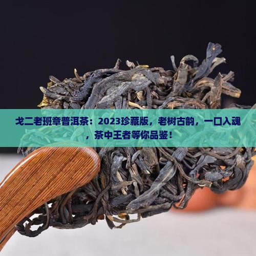 戈二老班章普洱茶